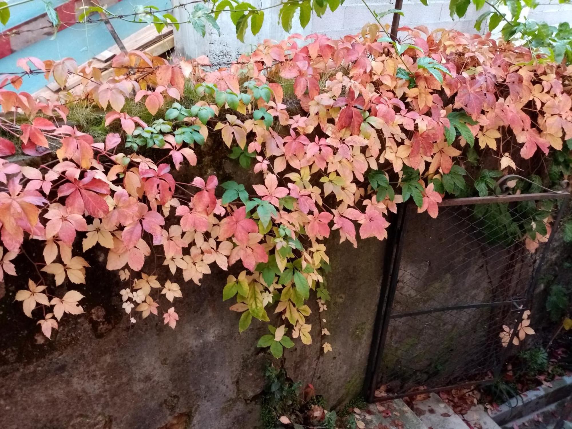 Casa Da Judiaria Velha Ap Apartment Viseu Bagian luar foto